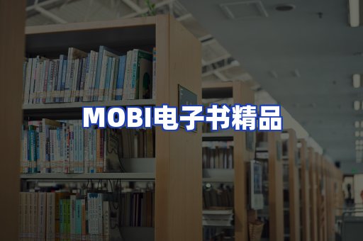 外文电子书产品